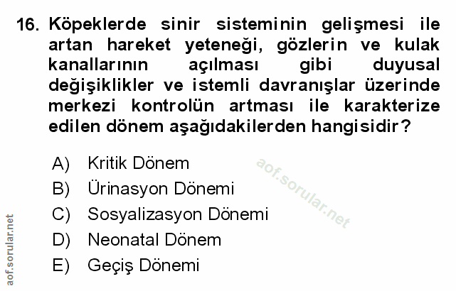 Soru 16