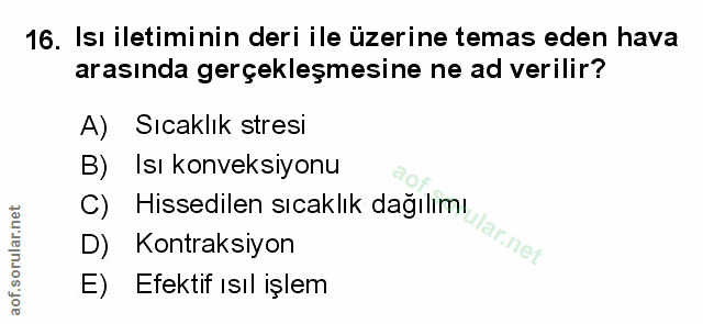 Soru 16