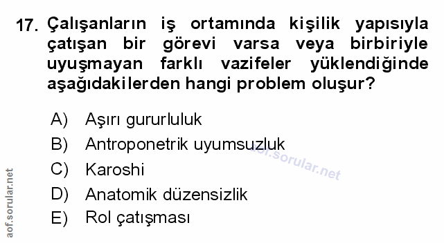 Soru 17