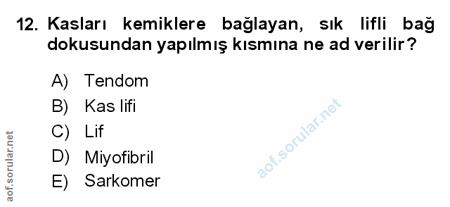 Soru 12