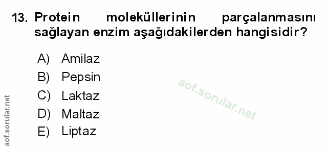 Soru 13