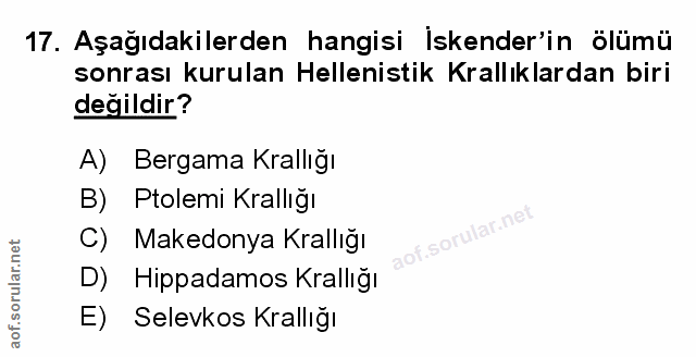 Soru 17