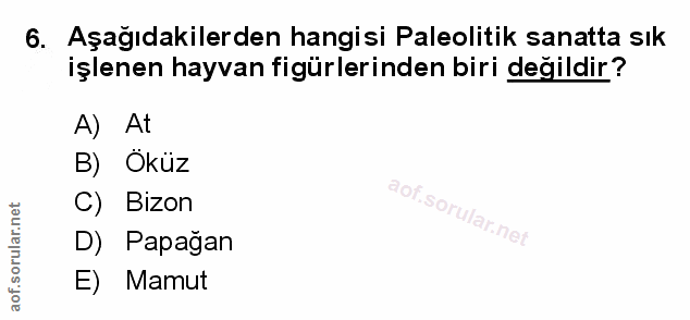 Soru 6