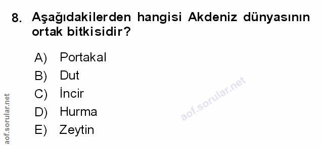 Soru 8