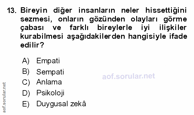 Soru 13
