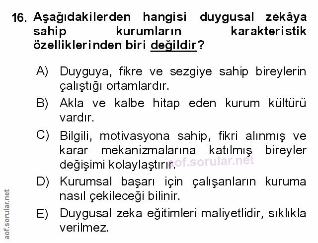 Soru 16
