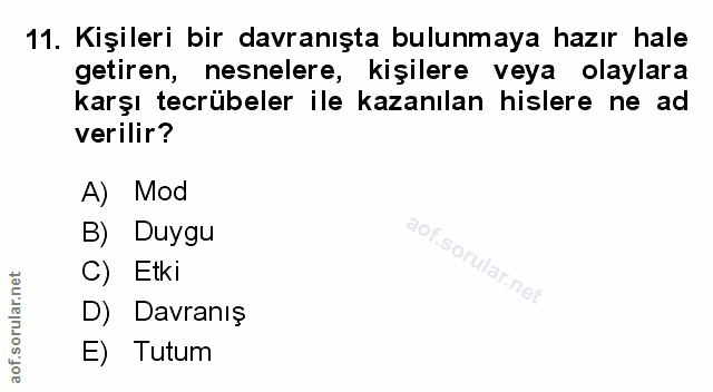 Soru 11