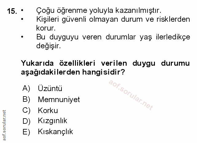 Soru 15