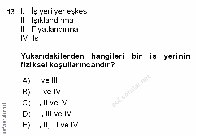 Soru 13