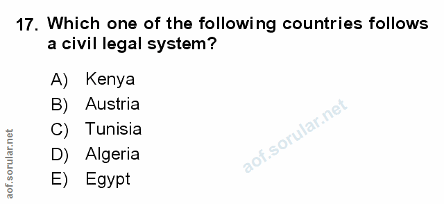 Soru 17