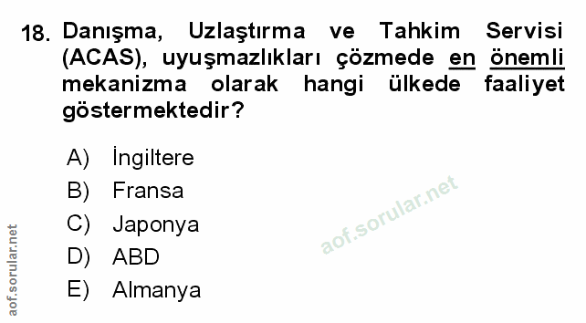 Soru 18