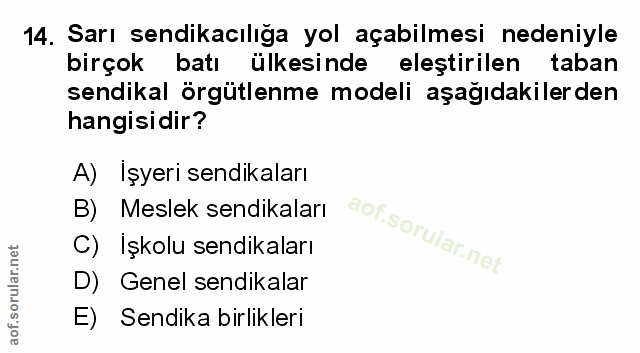 Soru 14