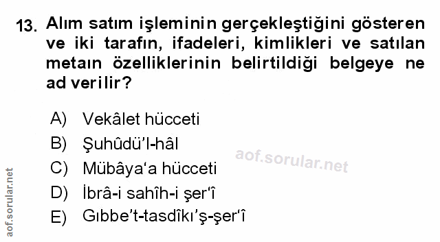 Soru 13