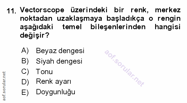 Soru 11