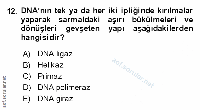 Soru 12