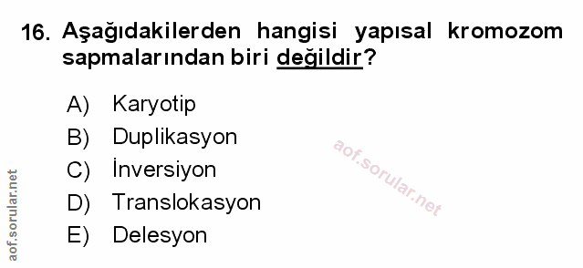 Soru 16
