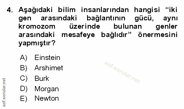 Soru 4