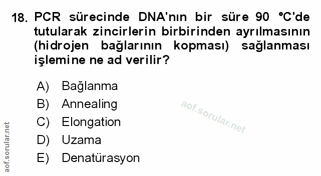 Soru 18