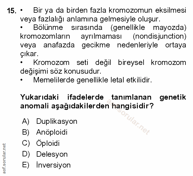 Soru 15