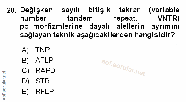 Soru 20