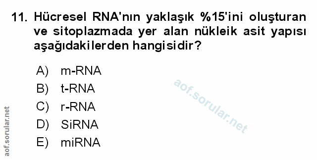 Soru 11