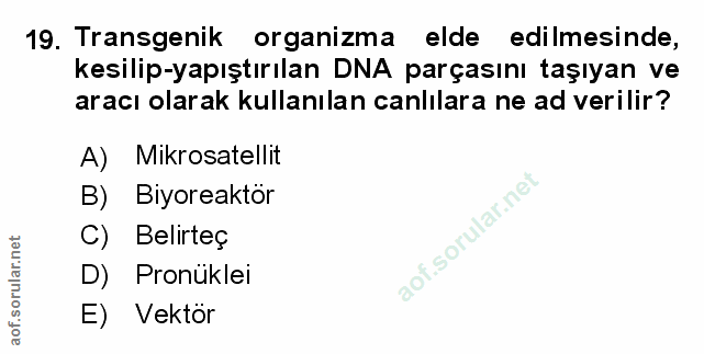 Soru 19