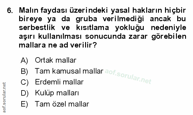 Soru 6