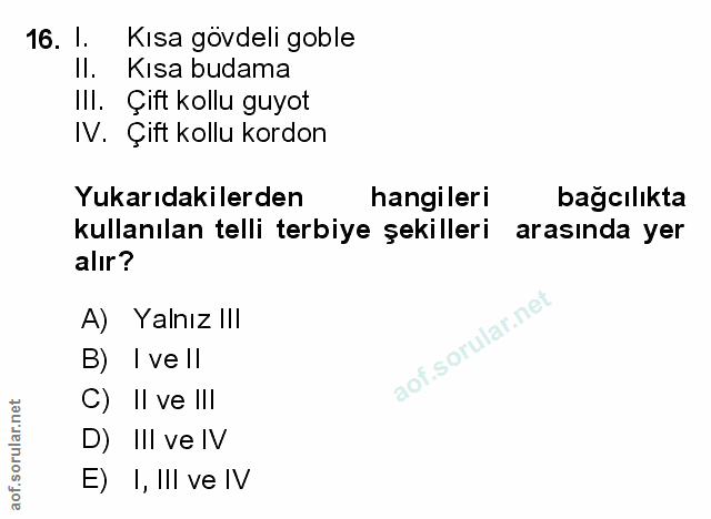 Soru 16