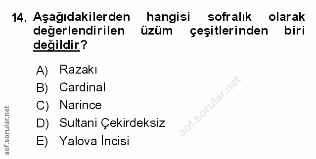 Soru 14
