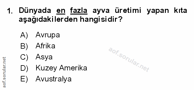 Soru 1