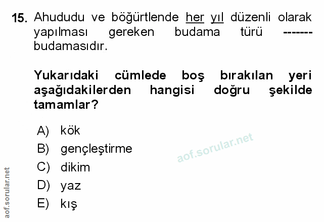Soru 15