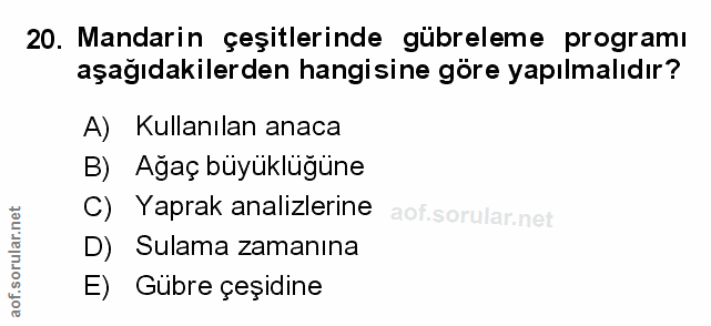 Soru 20