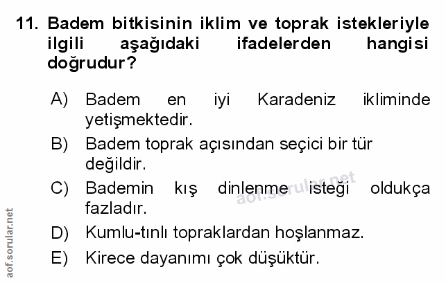 Soru 11