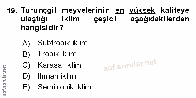 Soru 19