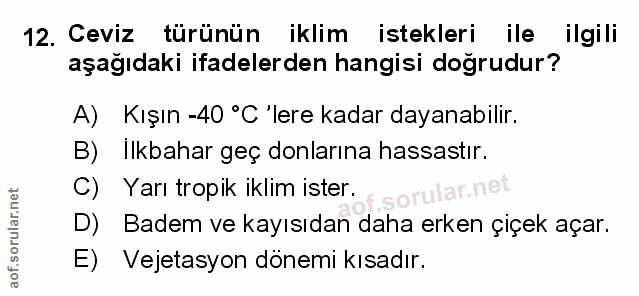Soru 12