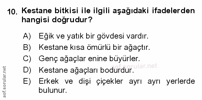 Soru 10