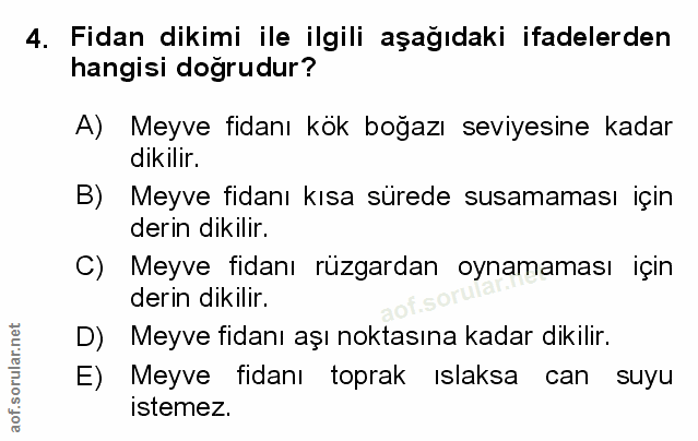 Soru 4