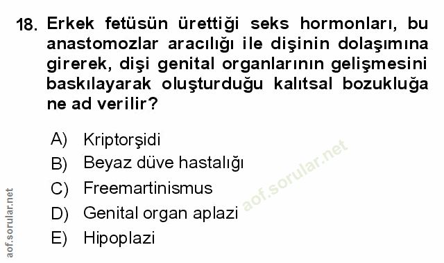 Soru 18