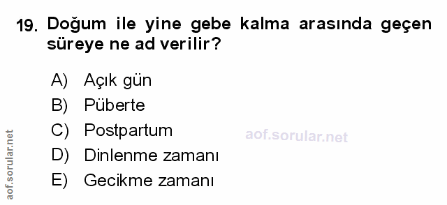 Soru 19