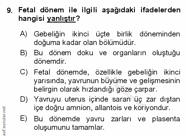 Soru 9