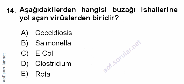 Soru 14
