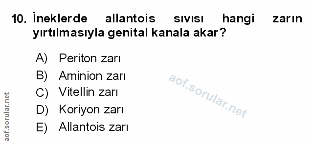 Soru 10