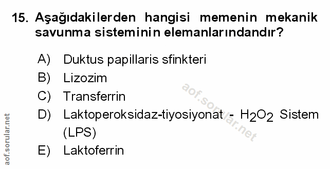 Soru 15