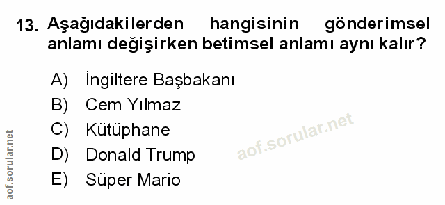 Soru 13