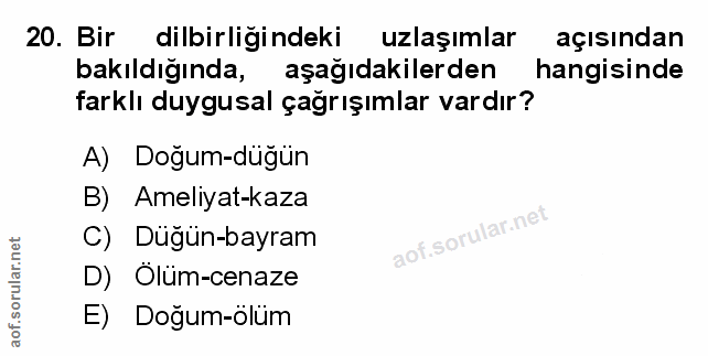 Soru 20