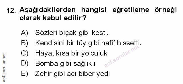 Soru 12