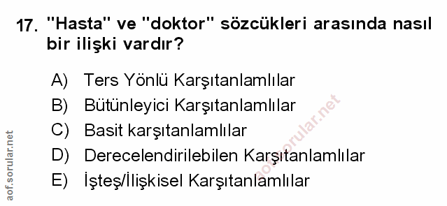 Soru 17