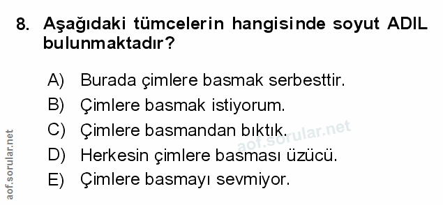 Soru 8