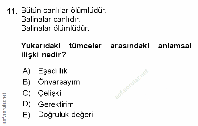 Soru 11