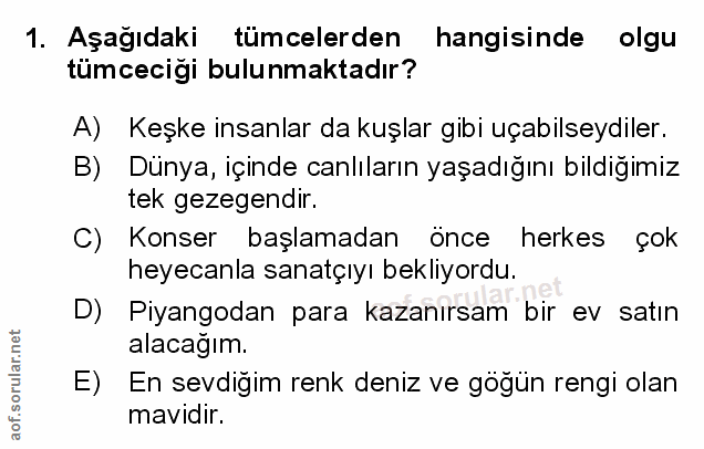 Soru 1